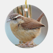 Carolina wren keramisch ornament (Achterkant)
