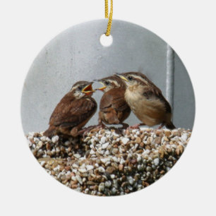 Carolina Wren Keramisch Ornament