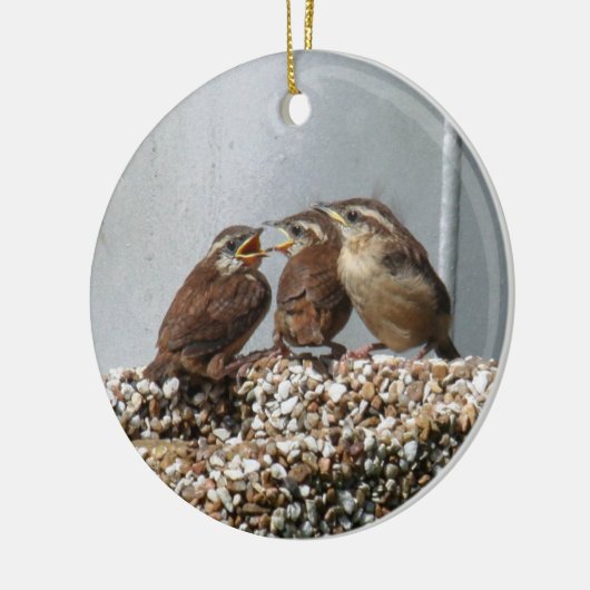 Carolina Wren Keramisch Ornament (Links)