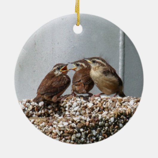 Carolina Wren Keramisch Ornament (Achterkant)