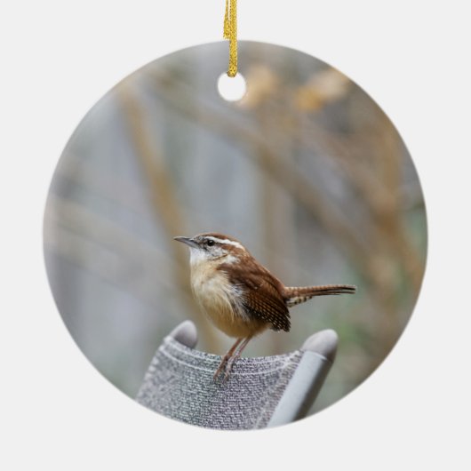 Carolina Wren Keramisch Ornament (Achterkant)