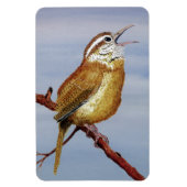 Carolina Wren Magnet Magneet (Verticaal)