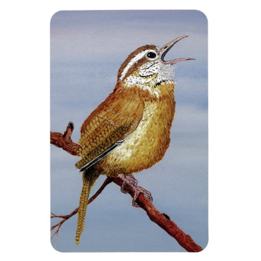 Carolina Wren Magnet Magneet (Verticaal)