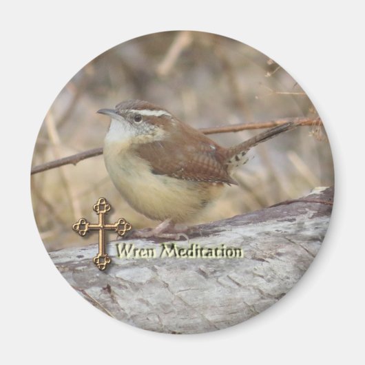 Carolina Wren Meditation magnet (Voorkant)