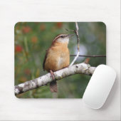 Carolina Wren Muismat (Met muis)