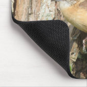 Carolina Wren Muismat (Hoek)