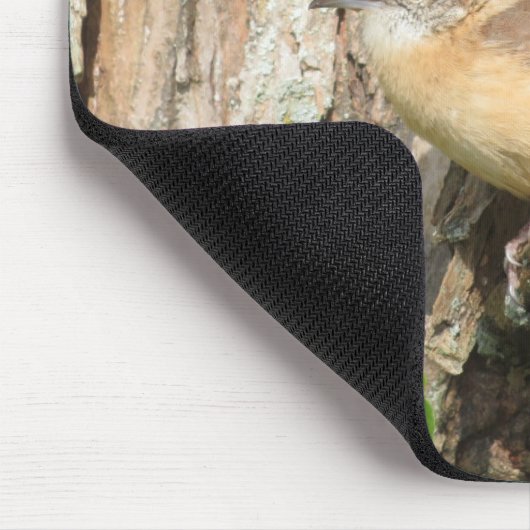 Carolina Wren Muismat (Hoek)