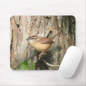 Carolina Wren Muismat (Met muis)
