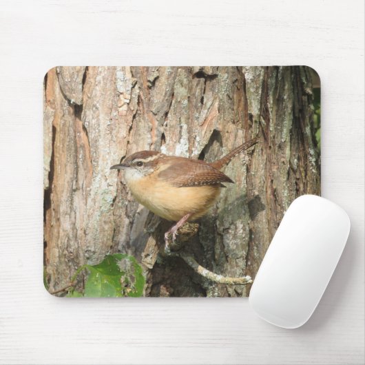 Carolina Wren Muismat (Met muis)