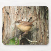 Carolina Wren Muismat (Voorkant)