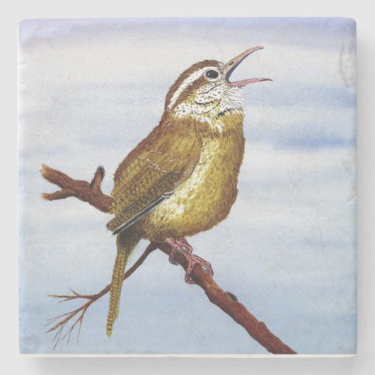 Carolina Wren Onderzetter (Voorkant)