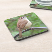 Carolina Wren Onderzetter (Linkerzijde)
