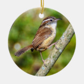 Carolina Wren Ornament (Voorkant)