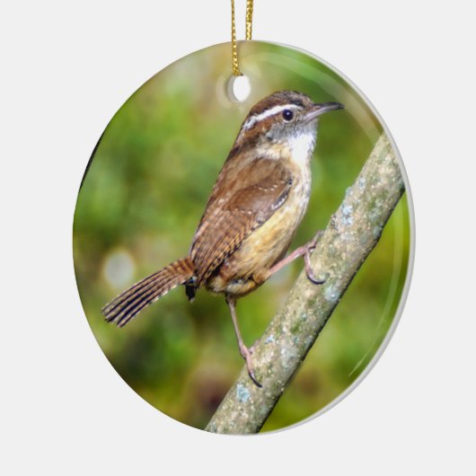 Carolina Wren Ornament (Links)