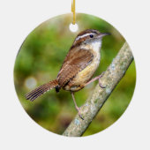 Carolina Wren Ornament (Achterkant)