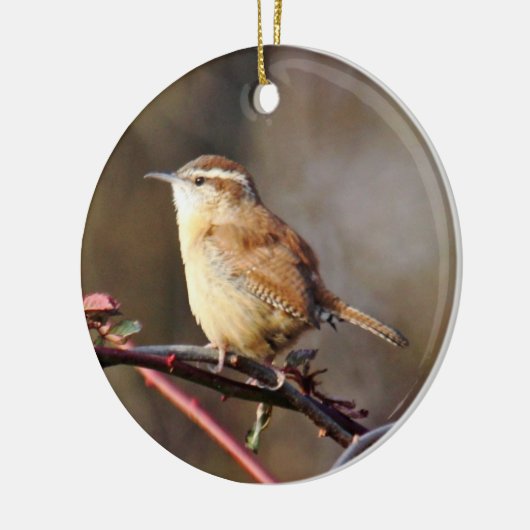Carolina Wren Ornament (Links)