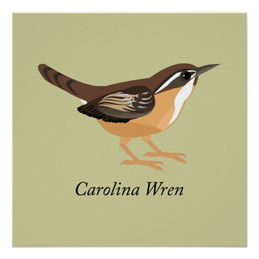 Carolina Wren Perfect Poster (Voorkant)