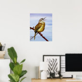 Carolina Wren Poster (Thuiskantoor)