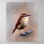 Carolina Wren Poster (Voorkant)