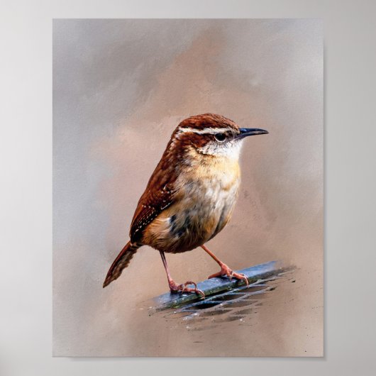 Carolina Wren Poster (Voorkant)
