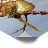 Carolina Wren Poster (Hoek)
