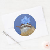 Carolina wren stickers (Envelop)