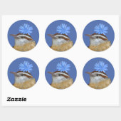 Carolina wren stickers (Vel)