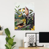 Carolina Wrens en Yellow Jessamine Poster (Thuiskantoor)