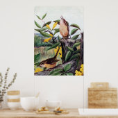 Carolina Wrens en Yellow Jessamine Poster (Keuken)