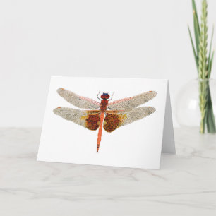 Carolina Zadeltassen Dragonfly Kaart