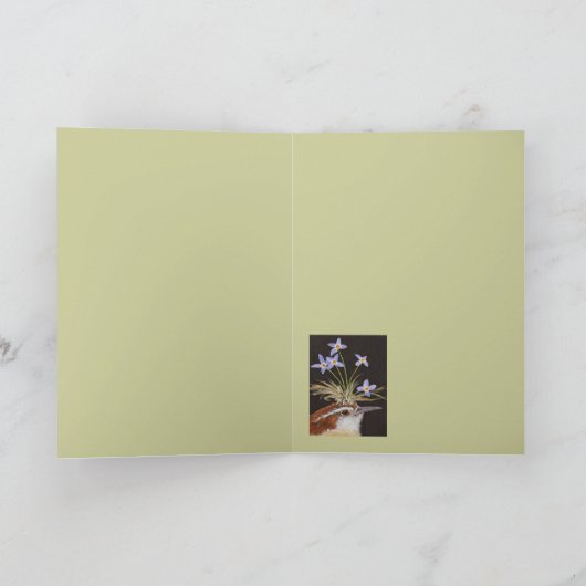 Carolinakaas met blauwe kaart (Binnen)