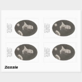 Caroline Johanna Lovisa Ridderstolpe, 1815 Rechthoekige Sticker (Vel)