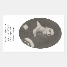 Caroline Johanna Lovisa Ridderstolpe, 1815 Rechthoekige Sticker