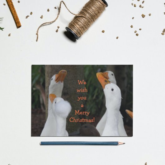 Caroling White Ducks Grappig Feestdagen Kaart