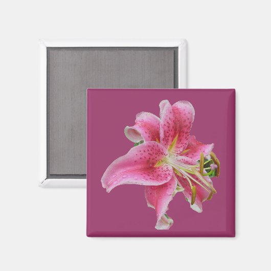Carolyn's Lily Magnet (Voorkant / Achterkant)