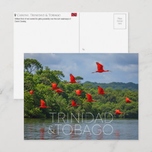 Caroni vogelreservaat, Trinidad & Tobago Reis Briefkaart
