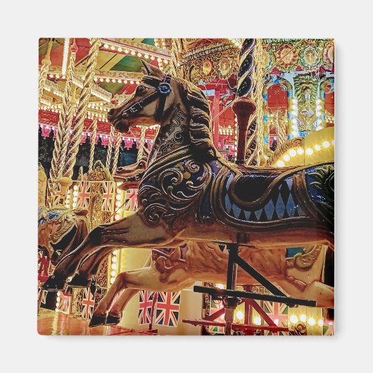 carousal magneet (Voorkant)