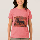 carousal Tri-Blend shirt (Voorkant)