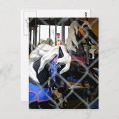 Carousel Briefkaart (Voorkant / Achterkant)