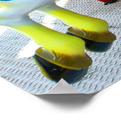 Carousel - Coney Island, NYC briefkaart Poster (Hoek)