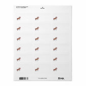 Carousel Dier Quagga Zebra Adreslabels Etiket (Full Sheet)