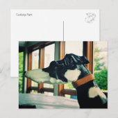 Carousel Dog Briefkaart (Voorkant / Achterkant)