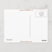 Carousel Dreams Briefkaart (Achterkant)