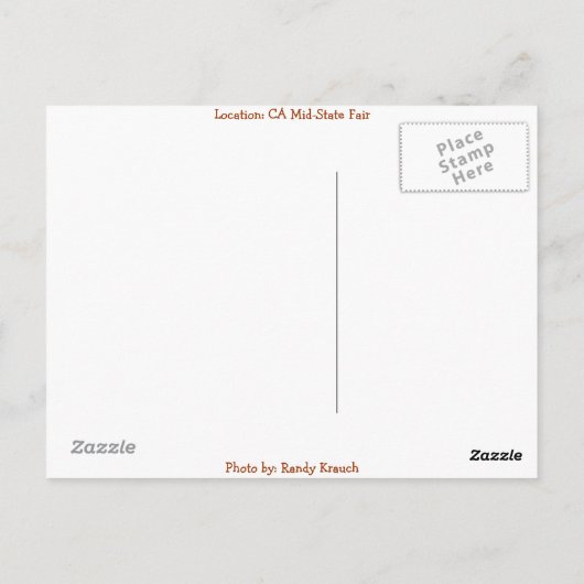 Carousel Dreams Briefkaart (Achterkant)