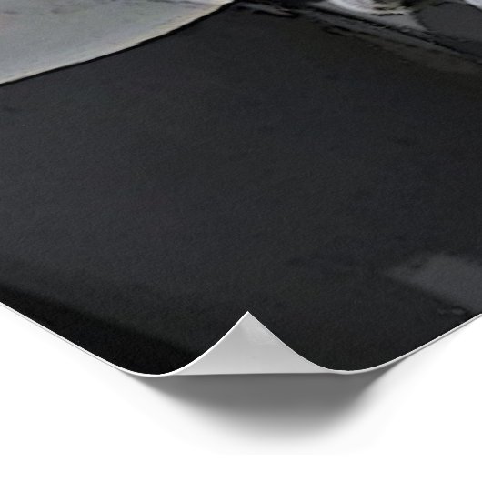 Carousel Dreams Poster (Hoek)