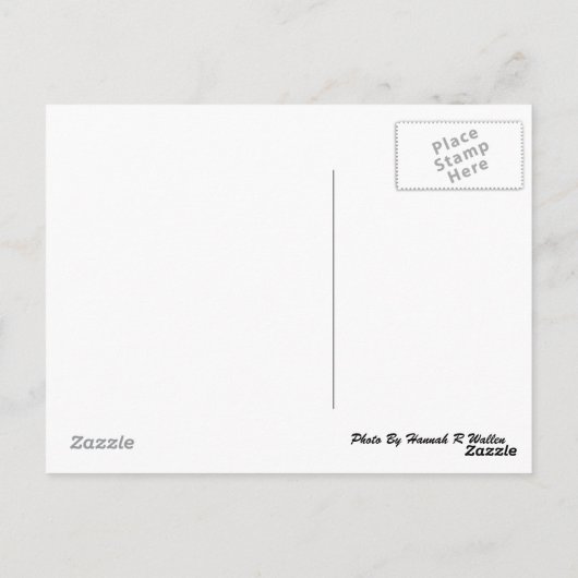 Carousel Horse Briefkaart (Achterkant)