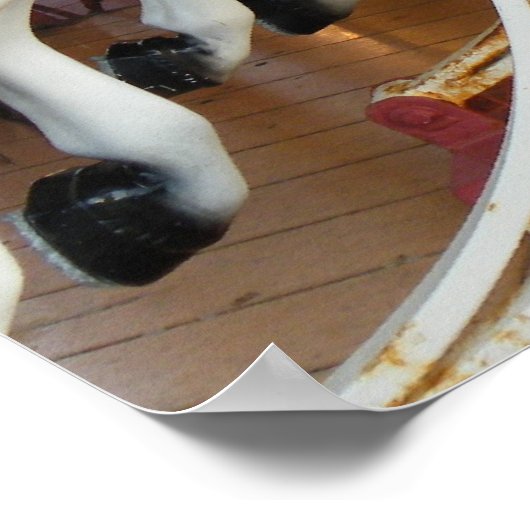 Carousel Horse Poster (Hoek)
