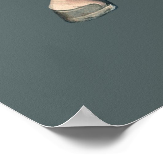 Carousel Horse van Henry Murphy Poster (Hoek)