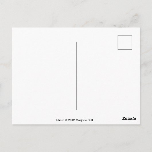 Carousel Post Kaart (Achterkant)