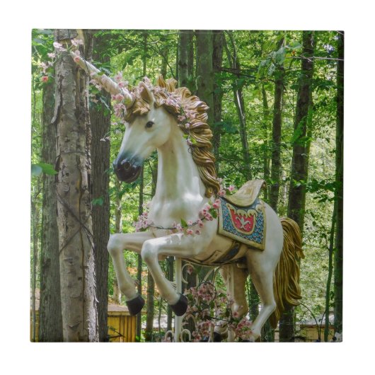 Carousel Unicorn Tegeltje (Voorkant)